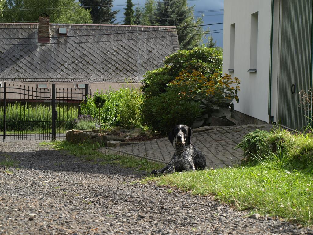 Guest House Luft Sneznik Екстериор снимка
