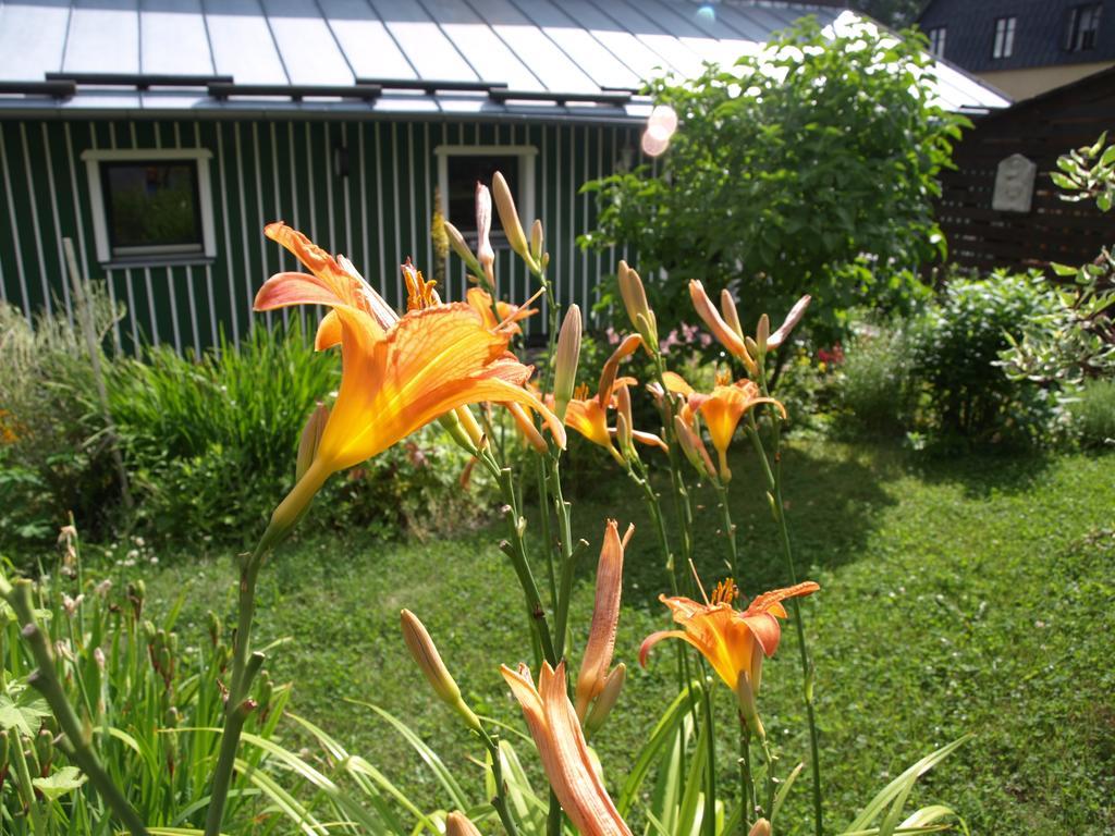 Guest House Luft Sneznik Екстериор снимка